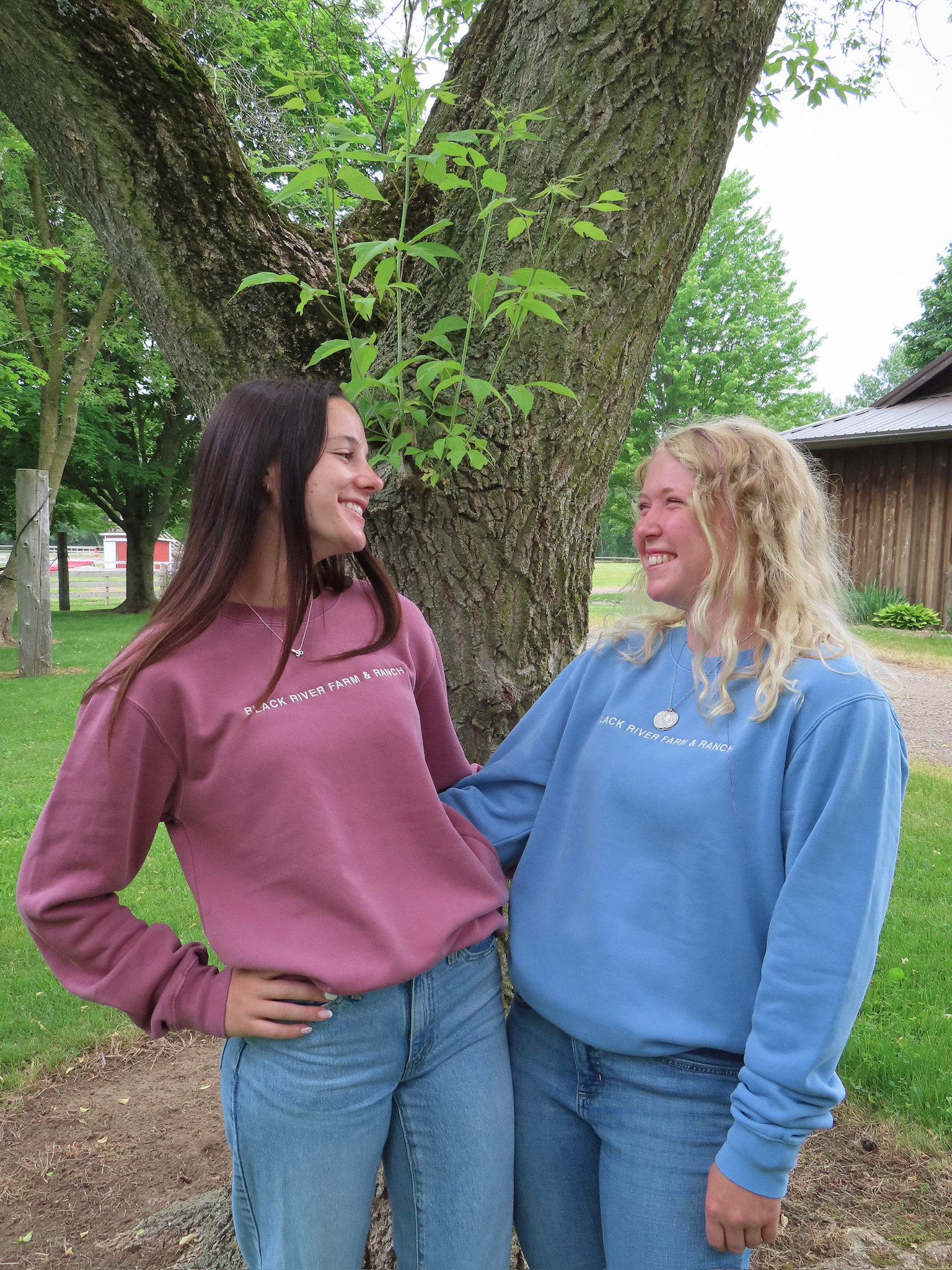 Embroidered Crewneck Sweatshirt