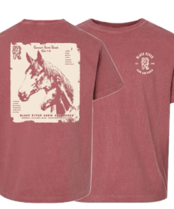 Vintage T-Shirt - Crimson