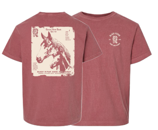 Vintage T-Shirt - Crimson