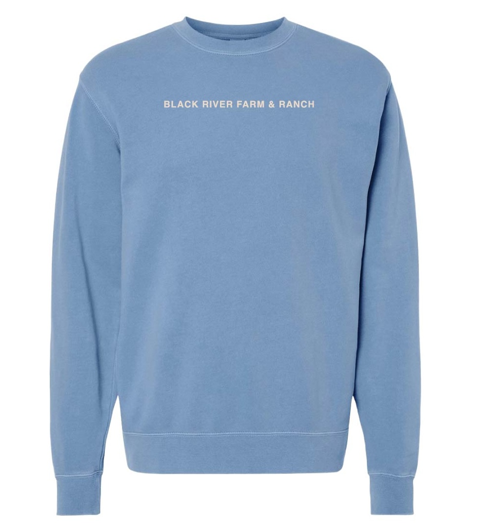 Embroidered Sweatshirt - Image 4