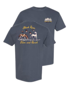 Horses & Ducks - Denim Blue