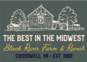 Duck T-Shirt - Image 3